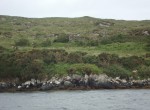 DSC00951