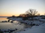 IMG_4798_5