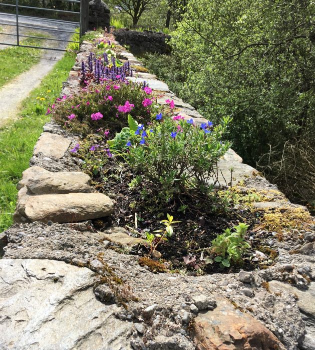 The Old School House “Kilmilkin National School” Kilmilkin, Maam, Co