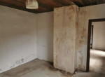 web 8