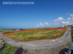cashleen site (1)